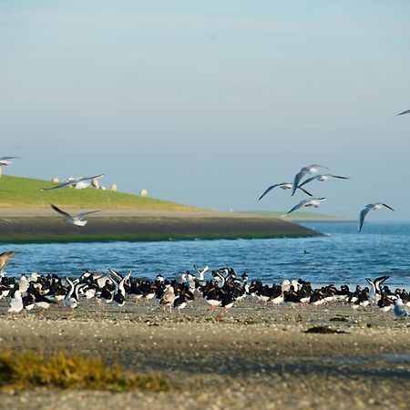 Hotel Breeze Ameland Hollum  Exteriér fotografie