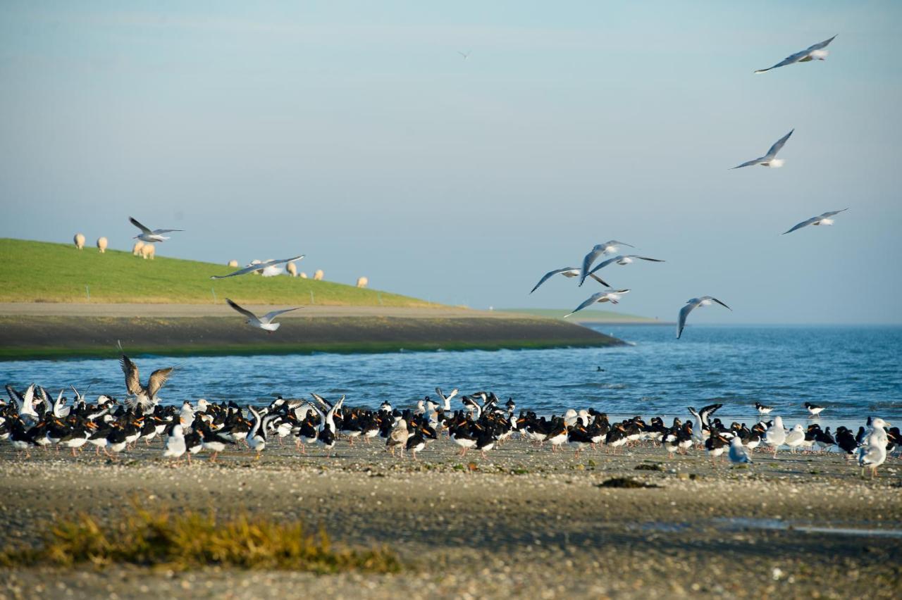 Hotel Breeze Ameland Hollum  Exteriér fotografie